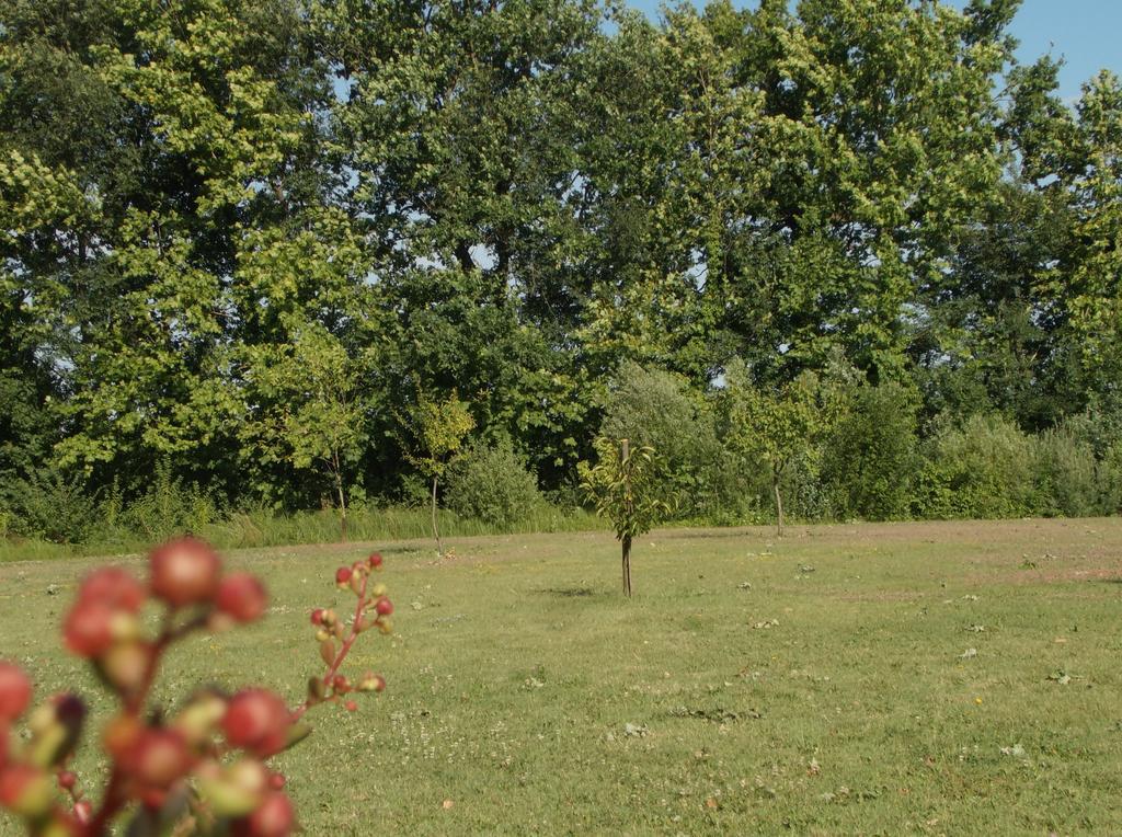 Casa Vacanze Riviera Del Brenta Dolo Zewnętrze zdjęcie